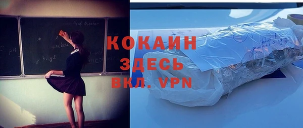 гидра Алексин