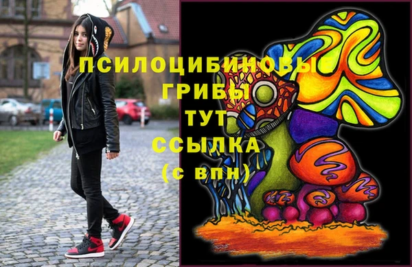 гидра Алексин