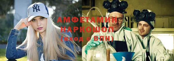 гидра Алексин