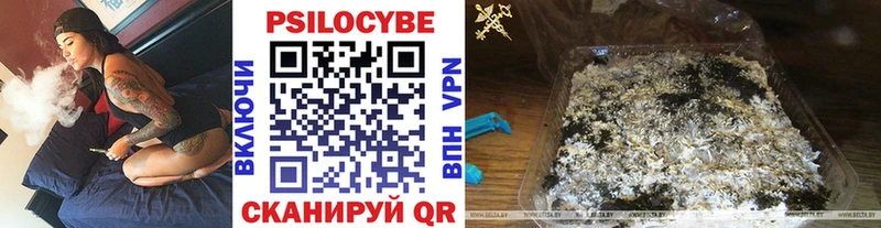 Галлюциногенные грибы Psilocybe  цены наркотик  Приозерск 